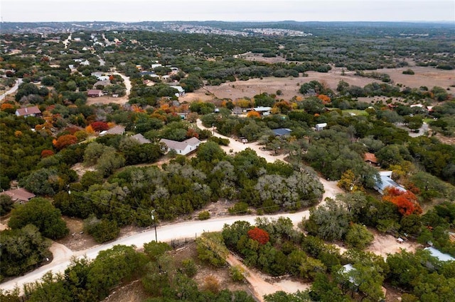 17110 Oak Cliff Cir, Dripping Springs, TX 78620 - photo 10