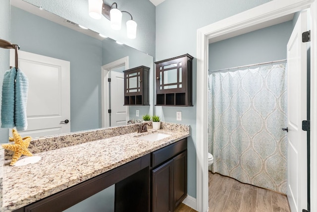 bathroom with wood finished floors, vanity, toilet, and a shower with shower curtain