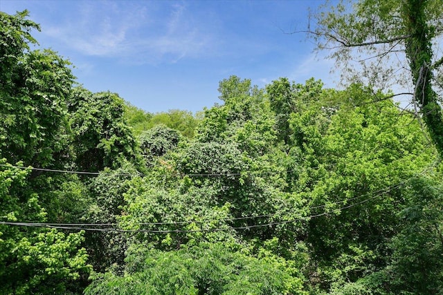 4608 Windy Brook Dr Unit B, Austin, TX 78723 - view of wooded area