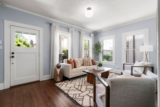 4536 Duval St Unit 2, Austin, TX 78751 - living room with ornamental molding, dark wood-style floors, plenty of natural light, baseboards, and a textured ceiling
