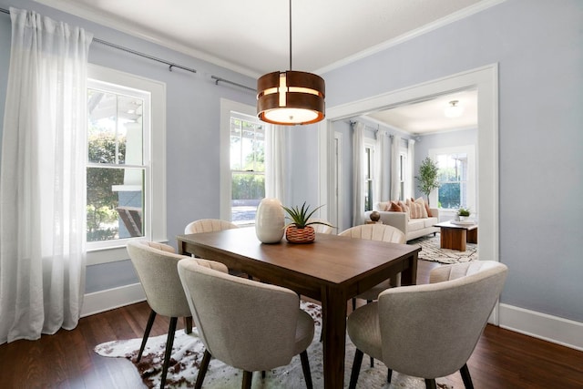 4536 Duval St Unit 2, Austin, TX 78751 - dining room featuring ornamental molding, baseboards, healthy amount of natural light, and dark wood-style flooring
