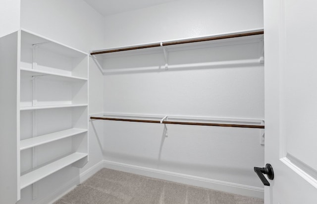 13404 Lapoynor St, Manor, TX 78653 - walk in closet with carpet
