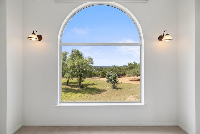 700 Longview Cir, Dripping Springs, TX 78620 - spare room featuring healthy amount of natural light