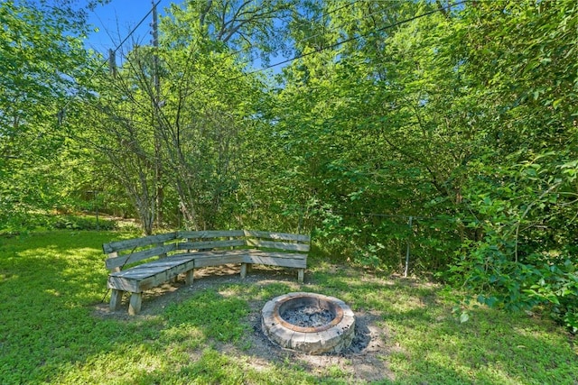 5105 Stone Gate Dr, Austin, TX 78721 - view of grassy yard featuring an outdoor fire pit