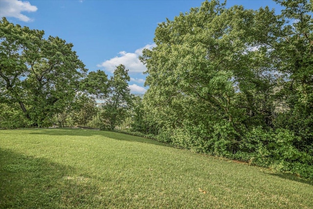 12861 Hughes Park Rd, Austin, TX 78732 - view of green lawn
