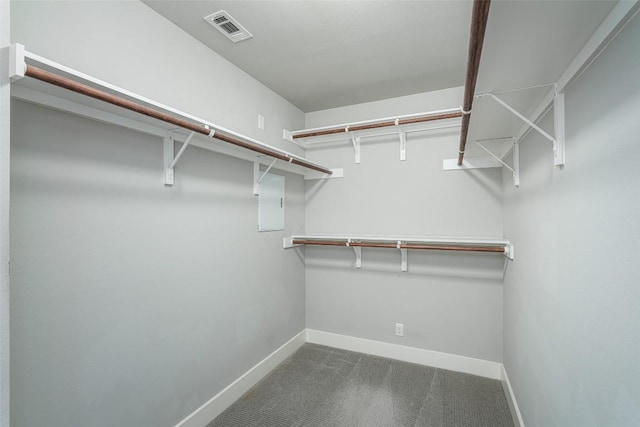 705 E 49th St Unit A, Austin, TX 78751 - walk in closet featuring carpet