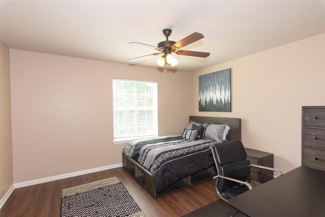 1598 Tahoka Daisy Dr, Cedar Park, TX 78613 - photo 22