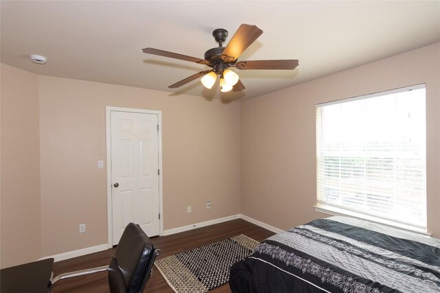 1598 Tahoka Daisy Dr, Cedar Park, TX 78613 - photo 23