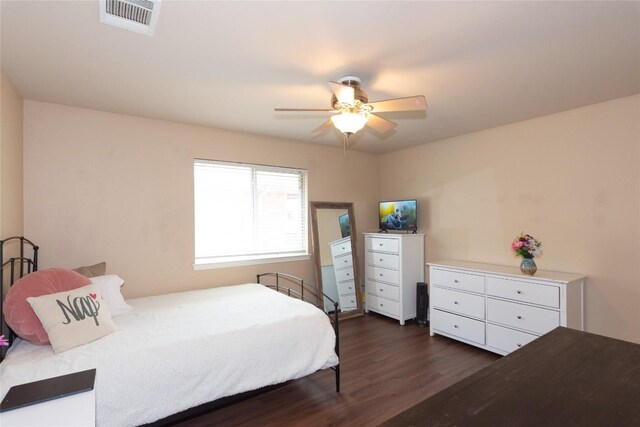 1598 Tahoka Daisy Dr, Cedar Park, TX 78613 - photo 25