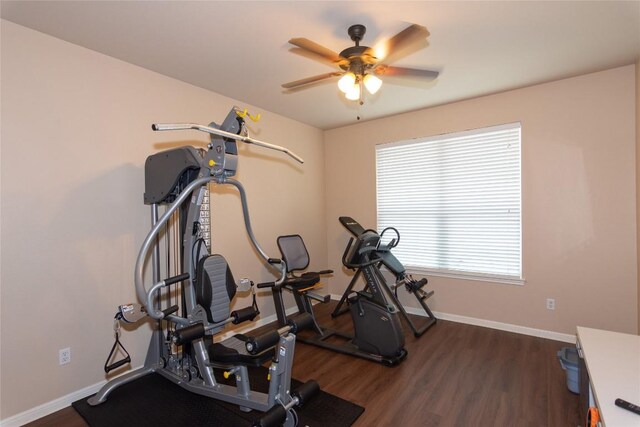 1598 Tahoka Daisy Dr, Cedar Park, TX 78613 - photo 12