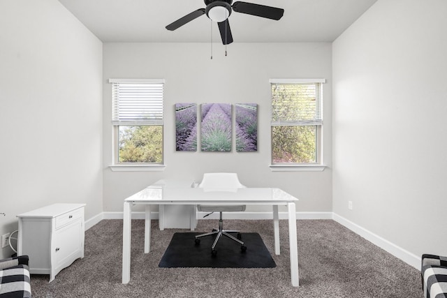 138 Prism Cv, Dripping Springs, TX 78620 - office space featuring carpet, plenty of natural light, ceiling fan, and baseboards