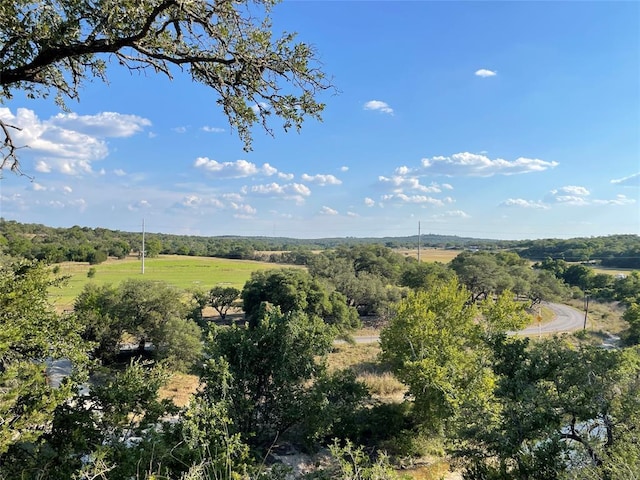 138 Prism Cv, Dripping Springs, TX 78620 - view of nature