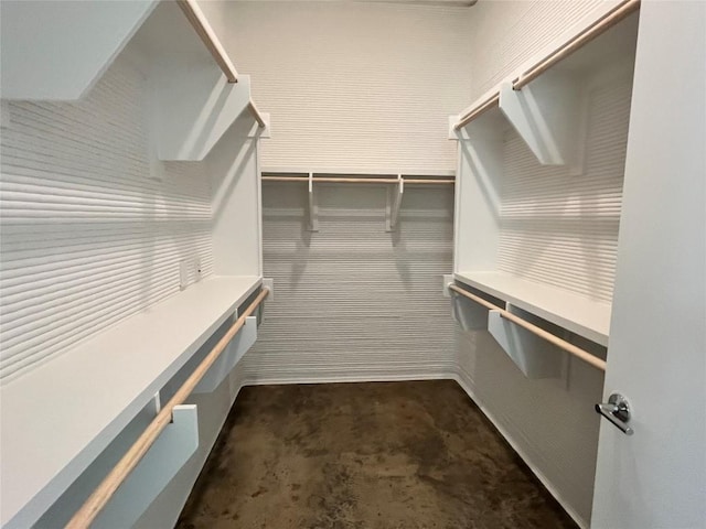 204 Blue Blaze Trl, Georgetown, TX 78628 - view of spacious closet