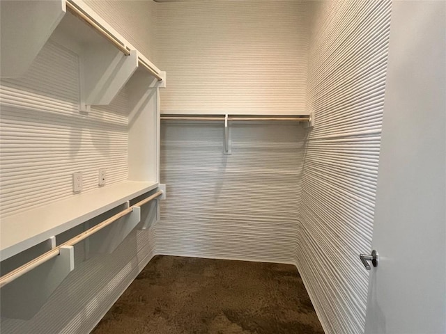 221 Blue Blaze Trl, Georgetown, TX 78628 - spacious closet featuring carpet floors