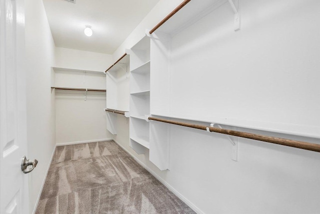 walk in closet with carpet floors