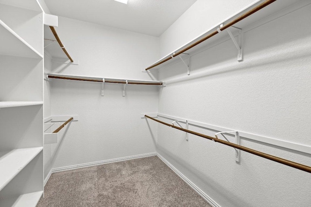 433 Vista Portola Loop, Liberty Hill, TX 78642 - spacious closet with carpet flooring