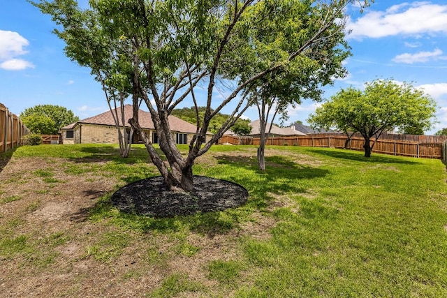 1420 Gomer Ln, Harker Heights, TX 76548 - view of yard