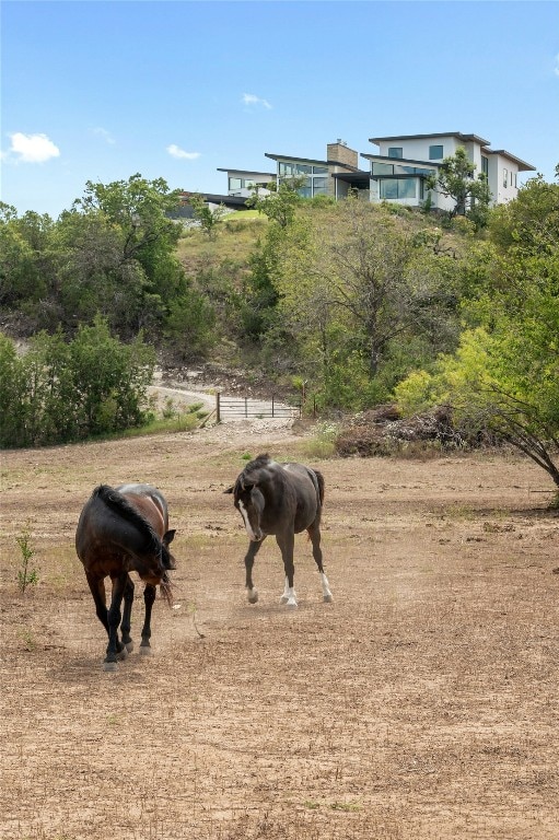 13900 Lone Rider Trl, Austin, TX 78738 - photo 39