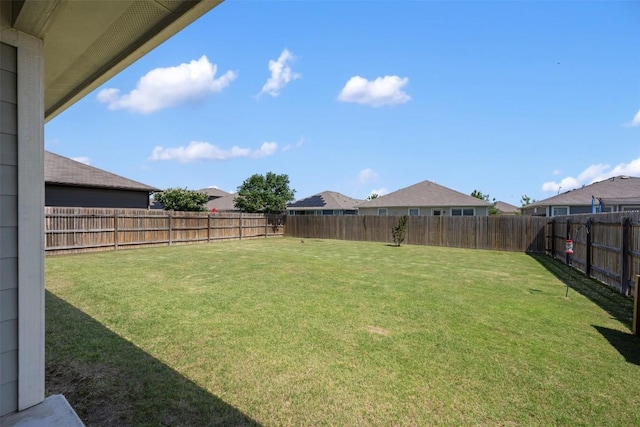 109 Dickinson Bayou Cv, Hutto, TX 78634 - view of yard