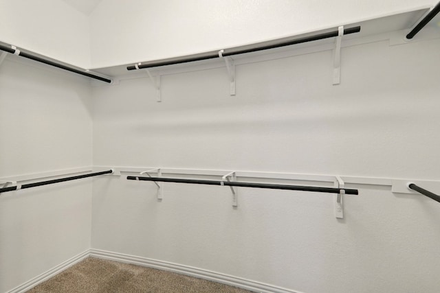 2300 La Mirada St, Leander, TX 78641 - spacious closet featuring carpet floors