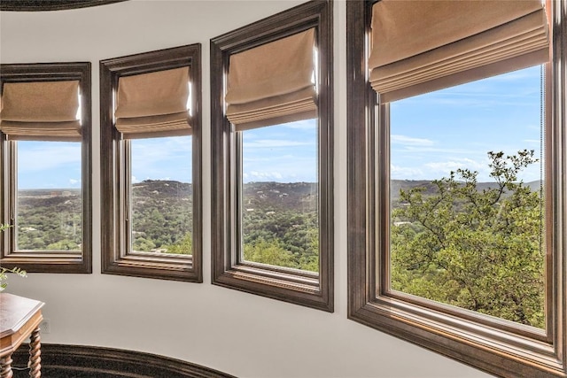 1710 Mount Larson Rd, Austin, TX 78746 - detailed view