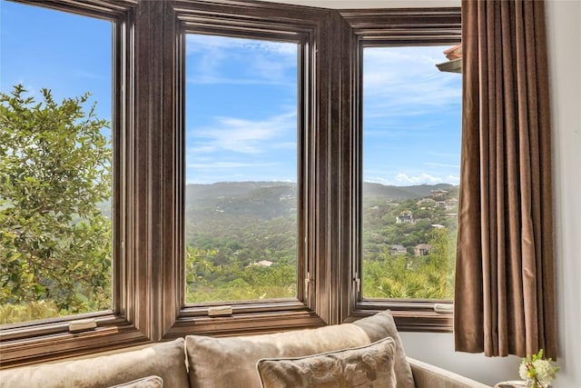 1710 Mount Larson Rd, Austin, TX 78746 - detailed view of mountains