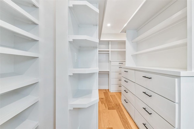 spacious closet featuring light wood-type flooring