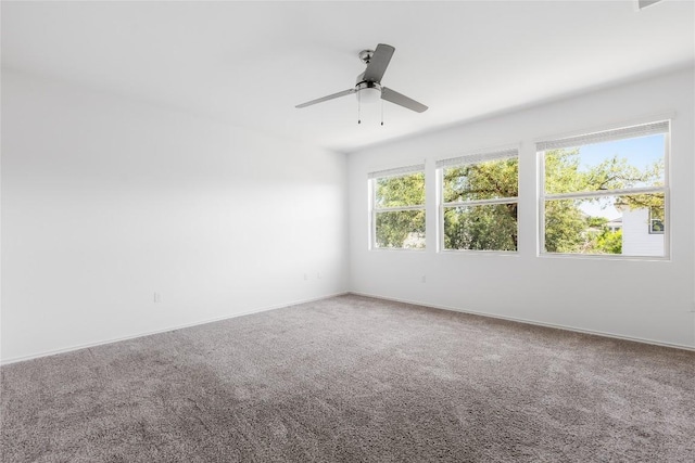 1203 Diggy Dr, Austin, TX 78748 - photo 23