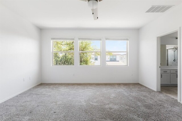 1203 Diggy Dr, Austin, TX 78748 - unfurnished bedroom with multiple windows, carpet, and baseboards