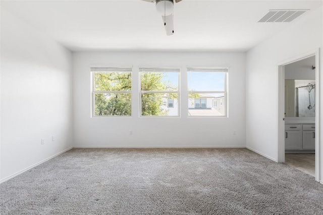 1203 Diggy Dr, Austin, TX 78748 - unfurnished bedroom with multiple windows, carpet flooring, and ensuite bath