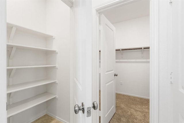 1203 Diggy Dr, Austin, TX 78748 - walk in closet with carpet