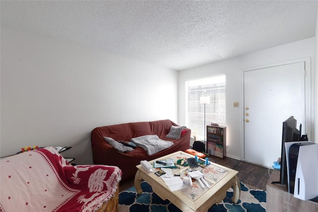 2803 Hemphill Park Unit B204, Austin, TX 78705 - living room with wood finished floors and a textured ceiling