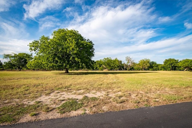 110 Rustic River Rd, Martindale, TX 78655 - photo 4
