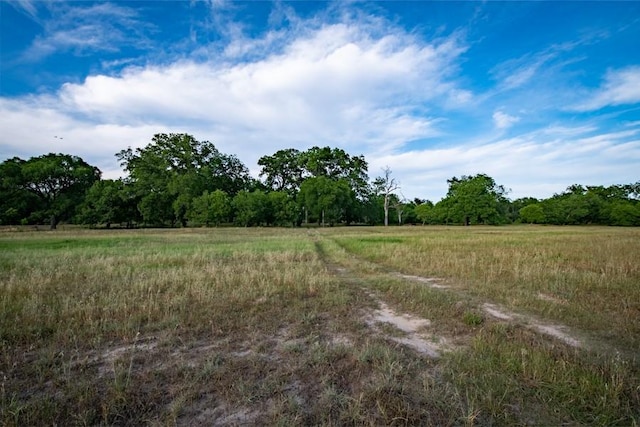 110 Rustic River Rd, Martindale, TX 78655 - photo 10