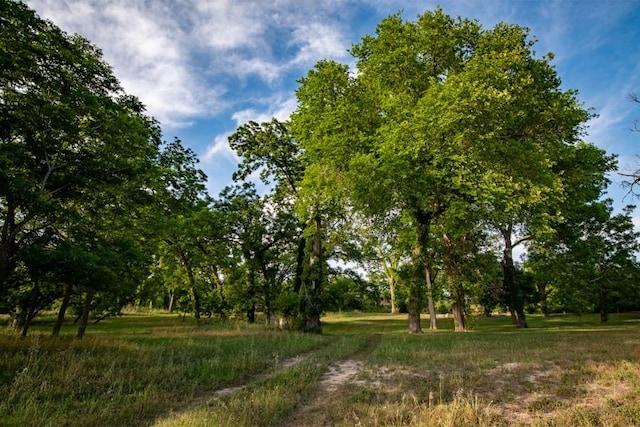 110 Rustic River Rd, Martindale, TX 78655 - photo 12