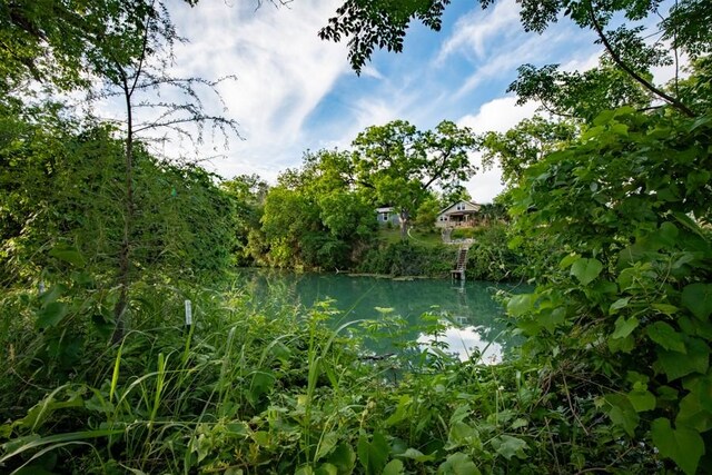 110 Rustic River Rd, Martindale, TX 78655 - photo 16