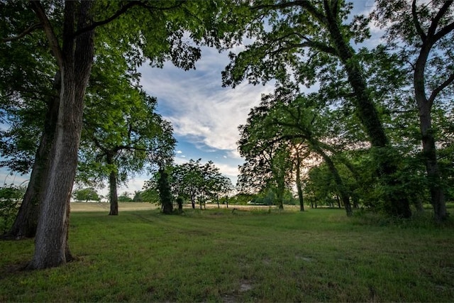 110 Rustic River Rd, Martindale, TX 78655 - photo 23