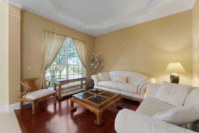 8105 Red Bird Ct, Austin, TX 78726 - living room with a tray ceiling, wood finished floors, and crown molding