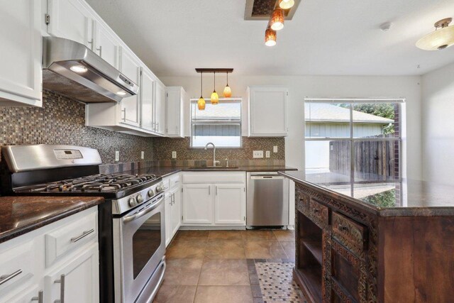 2912 Sydney Dr, Austin, TX 78728 - kitchen featuring appliances with stainless steel finishes, exhaust hood, a sink, decorative backsplash, and healthy amount of natural light