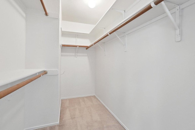 2912 Sydney Dr, Austin, TX 78728 - walk in closet featuring light colored carpet