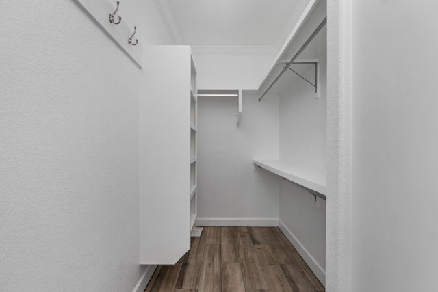 spacious closet featuring dark wood-type flooring