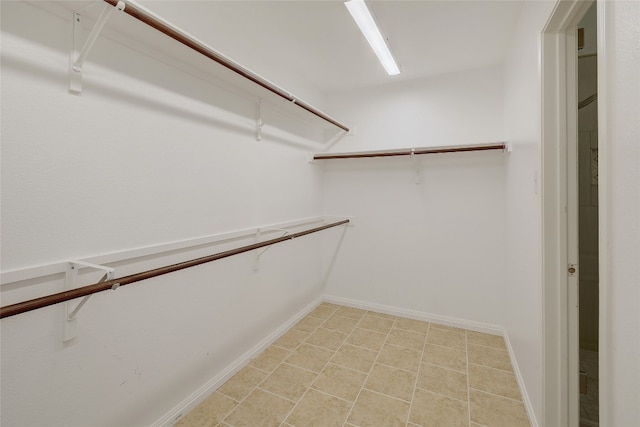 2415 Arbor Dr, Round Rock, TX 78681 - view of spacious closet