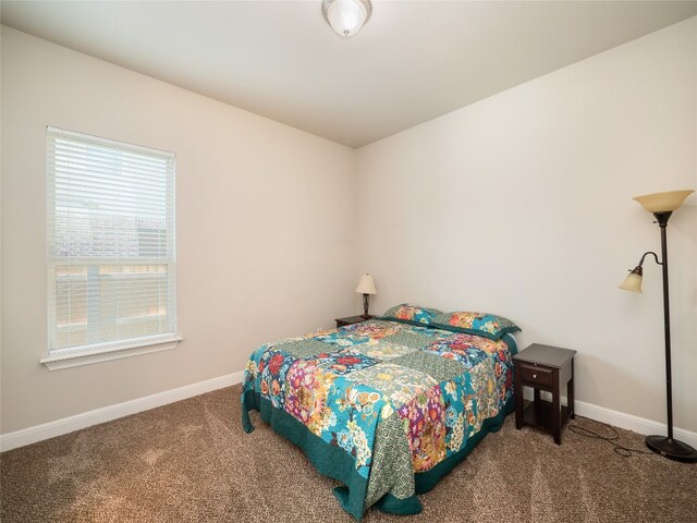 21008 Windmill Ridge St, Pflugerville, TX 78660 - photo 25