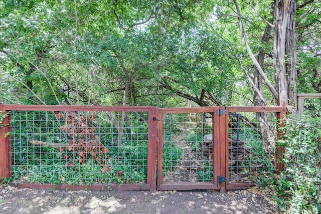6018 Abilene Trl, Austin, TX 78749 - view of gate