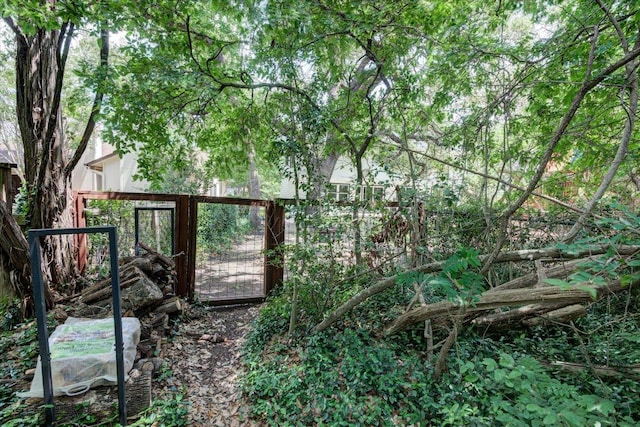 6018 Abilene Trl, Austin, TX 78749 - view of yard featuring a gate