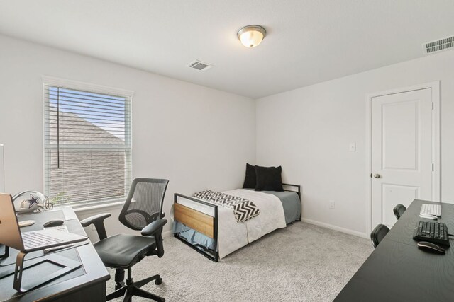 4418 Royal Oak Blvd, San Marcos, TX 78666 - photo 25