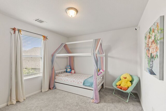 4418 Royal Oak Blvd, San Marcos, TX 78666 - photo 27