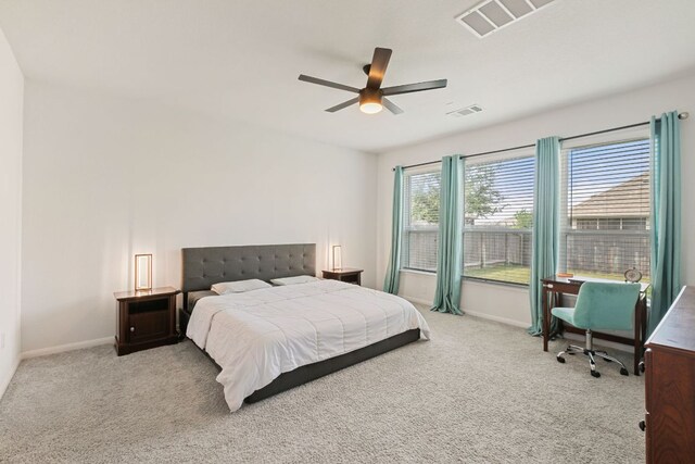 4418 Royal Oak Blvd, San Marcos, TX 78666 - photo 10