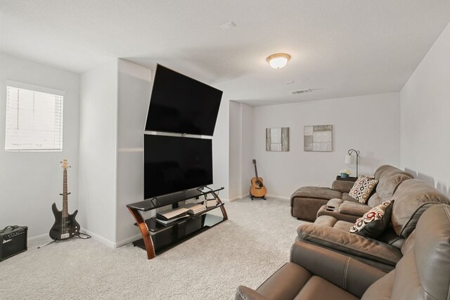 4418 Royal Oak Blvd, San Marcos, TX 78666 - photo 20