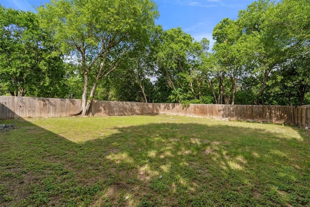 7000 Carwill Dr, Austin, TX 78724 - view of yard